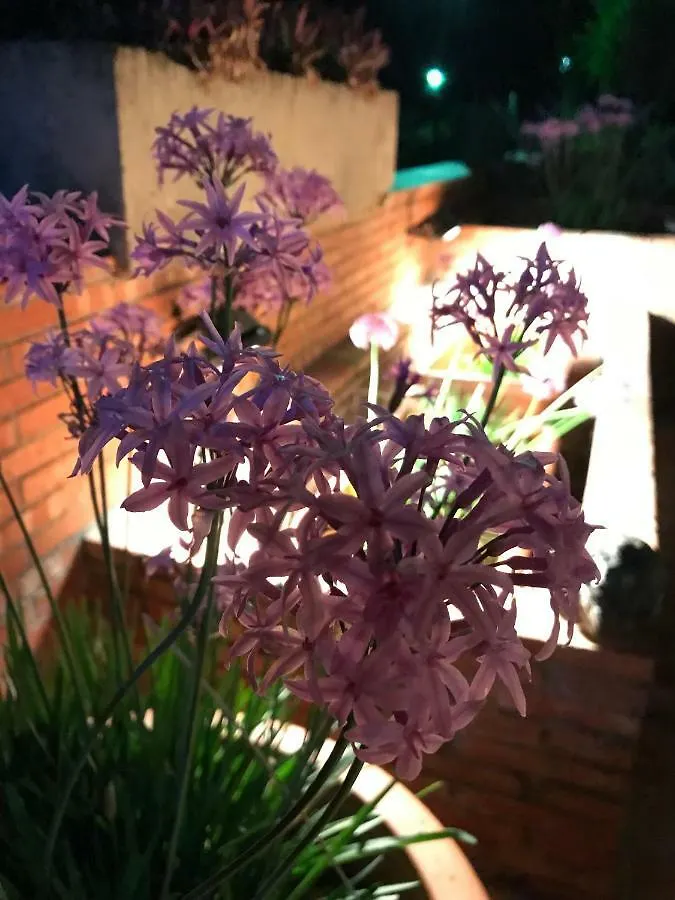 Casa vacanze Casa Silvy Villa SantʼAlessio Siculo